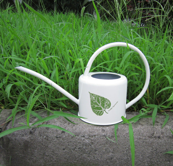 Large-Capacity Metal Watering Can for Gardens & Vegetables