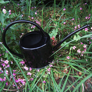 Large-Capacity Metal Watering Can for Gardens & Vegetables