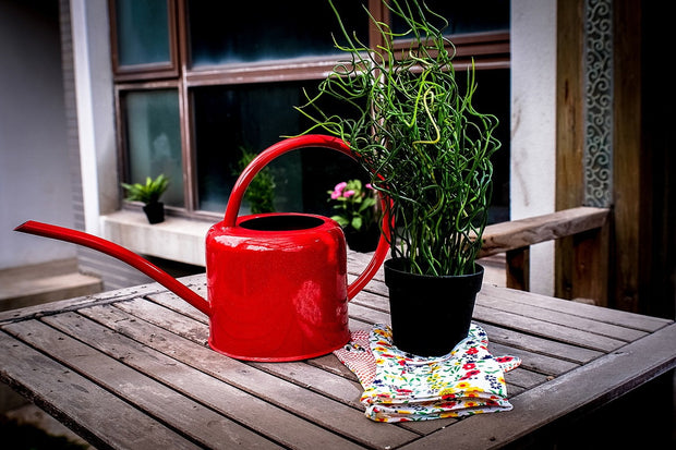 Large-Capacity Metal Watering Can for Gardens & Vegetables