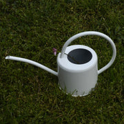 Large-Capacity Metal Watering Can for Gardens & Vegetables