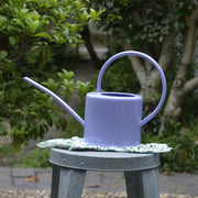 Large-Capacity Metal Watering Can for Gardens & Vegetables