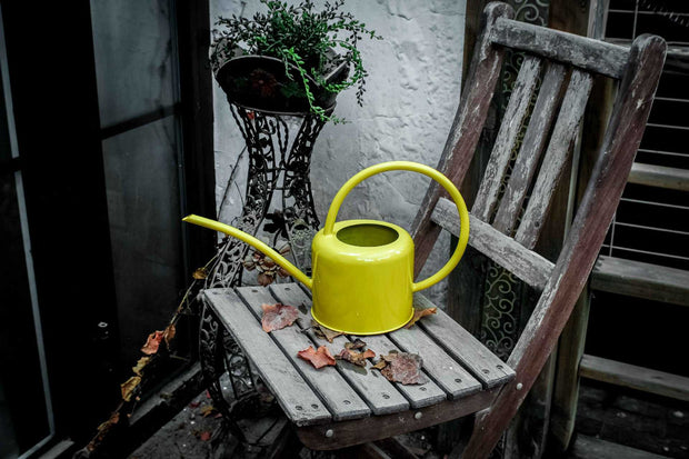 Large-Capacity Metal Watering Can for Gardens & Vegetables