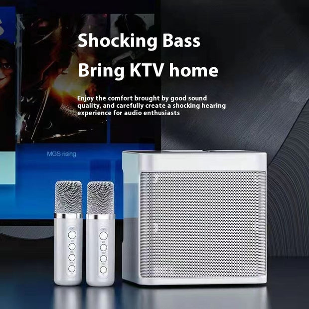 Home Karaoke Bluetooth Speaker with Wireless Microphone