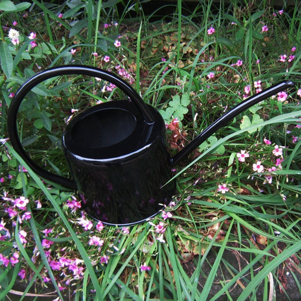 Large-Capacity Metal Watering Can for Gardens & Vegetables