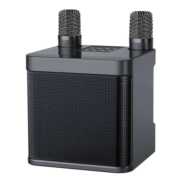 Home Karaoke Bluetooth Speaker with Wireless Microphone