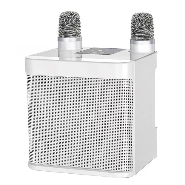 Home Karaoke Bluetooth Speaker with Wireless Microphone