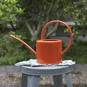 Large-Capacity Metal Watering Can for Gardens & Vegetables