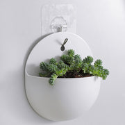 Wall-Mounted Hydroponic Hanging Planter – Stylish & Low-Maintenance